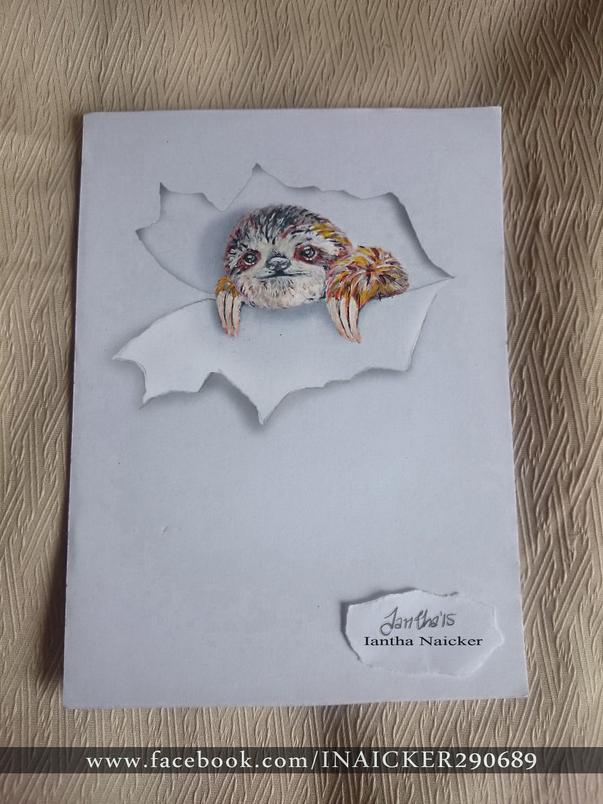 My Animal Drawings Try To Leap Off The Page