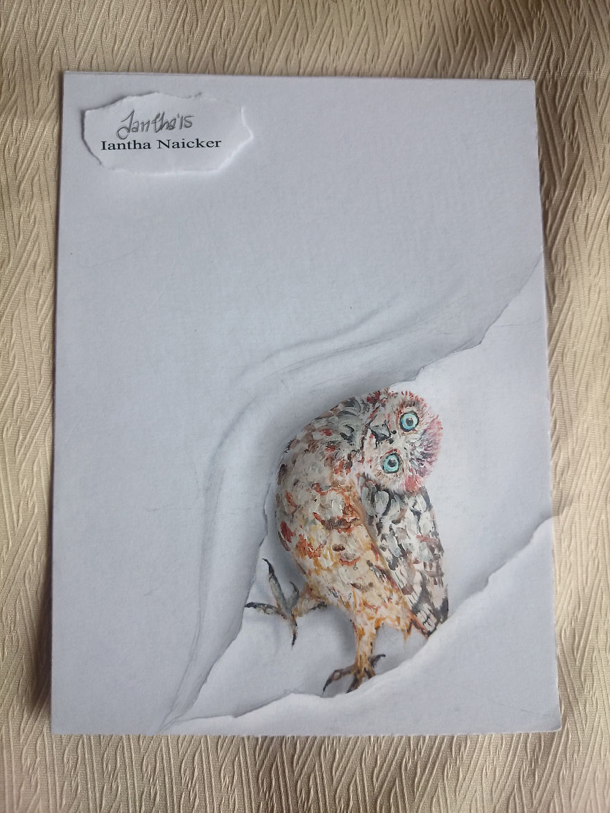 My Animal Drawings Try To Leap Off The Page