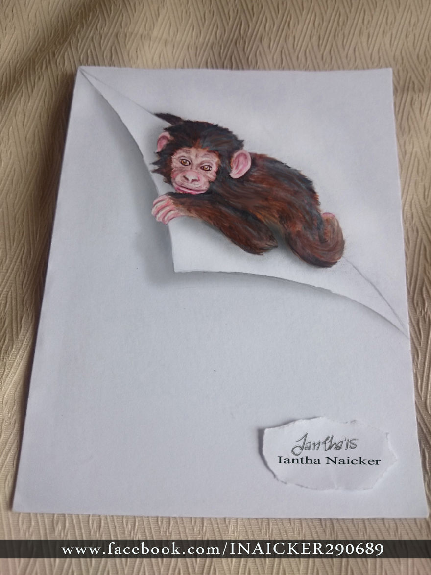 My Animal Drawings Try To Leap Off The Page