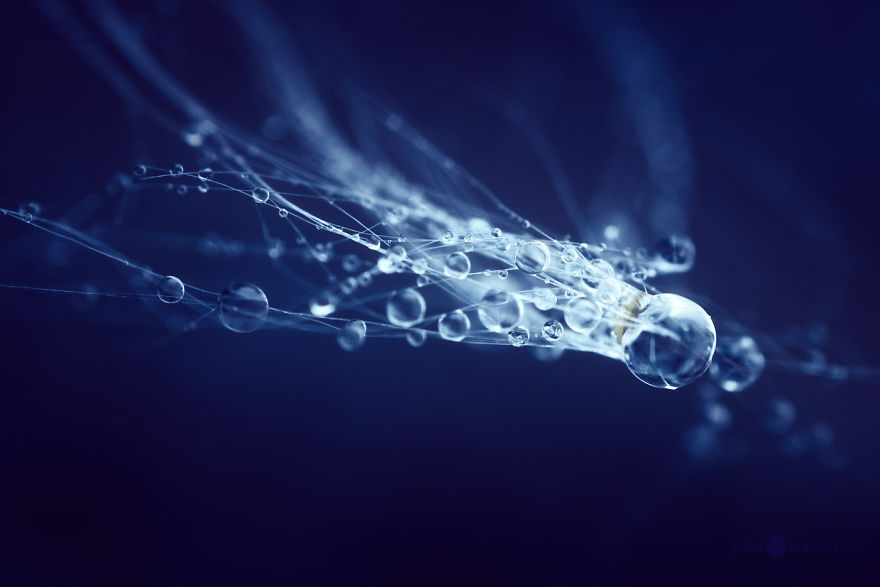 I Captured Rain Drops Creating Their Own Mini-Galaxies