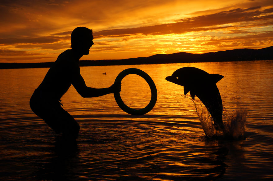 My Cardboard Cutouts Come To Life In Magical Sunset Silhouettes