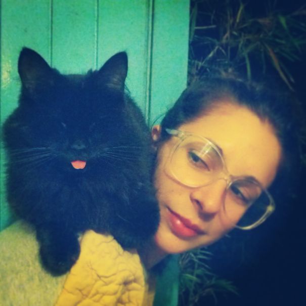 Parrot Cat: "i'm Staying On Your Shoulder And I Don't Care What You Think About It :p"