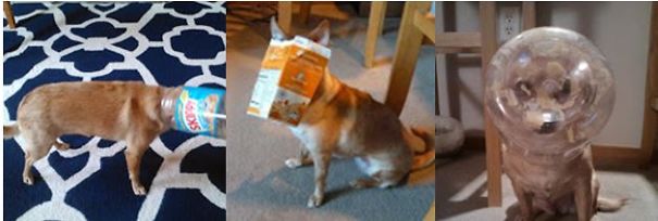 Frida Continues To Make Questionable Chioces...