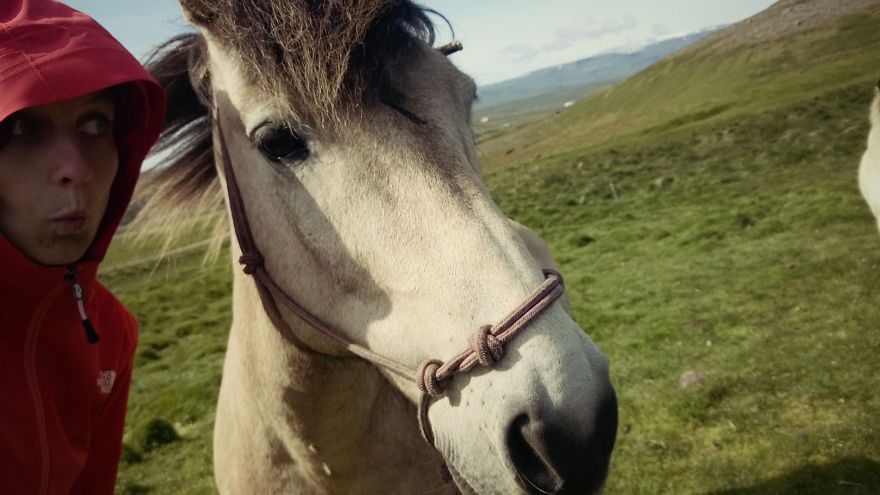 After Quitting My Job As A Preschool Teacher I Spent Half A Year Alone In Iceland After Quitting My Job As A Preschool Teacher I Spent Half A Year Alone In Iceland