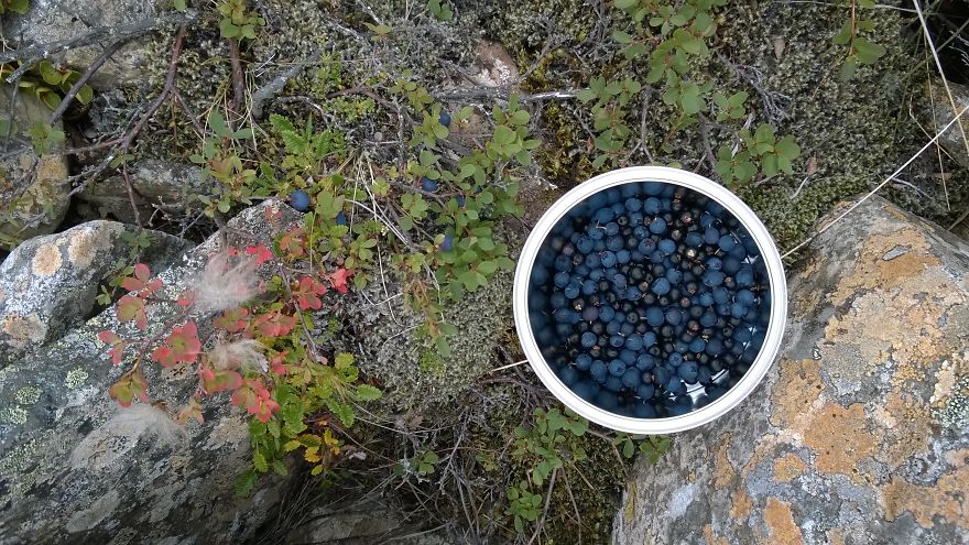 After Quitting My Job As A Preschool Teacher I Spent Half A Year Alone In Iceland After Quitting My Job As A Preschool Teacher I Spent Half A Year Alone In Iceland