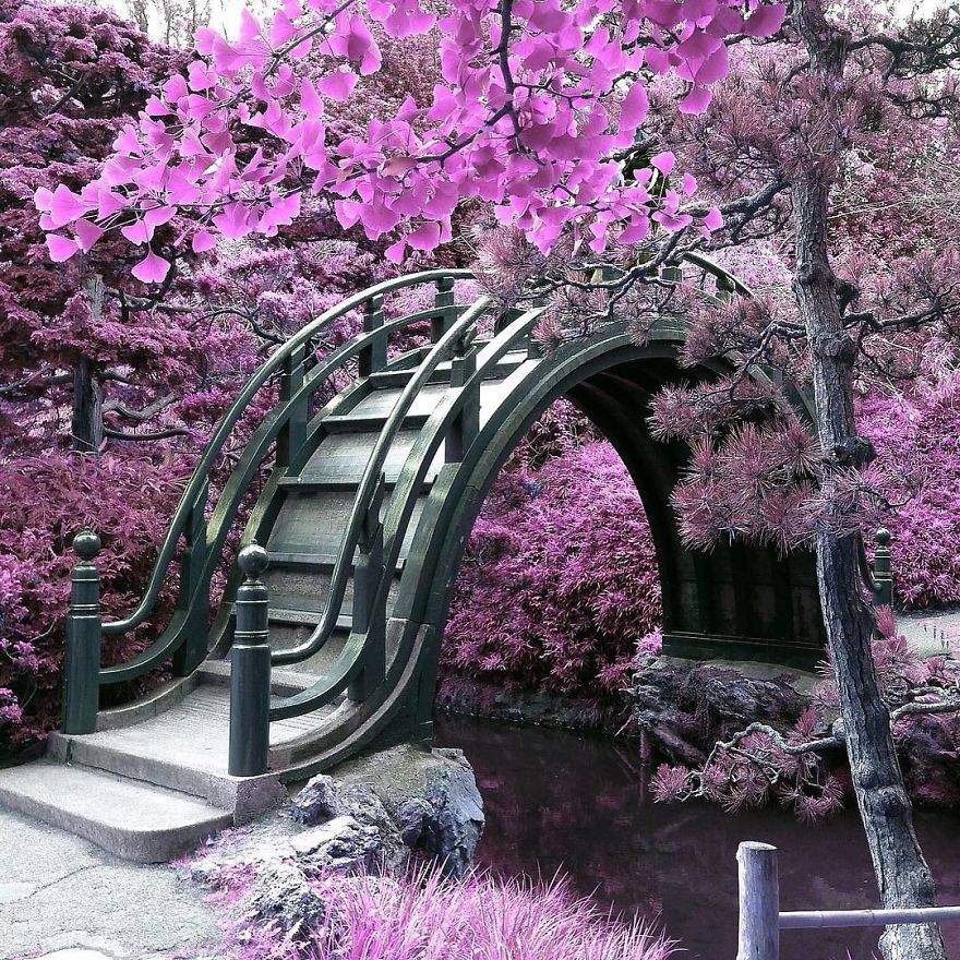 I Create A Surreal World Where Everything Is Pink