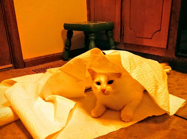 I Jus Wanted To Help Clean Up The Messes I Sawz On The Previous Posts...