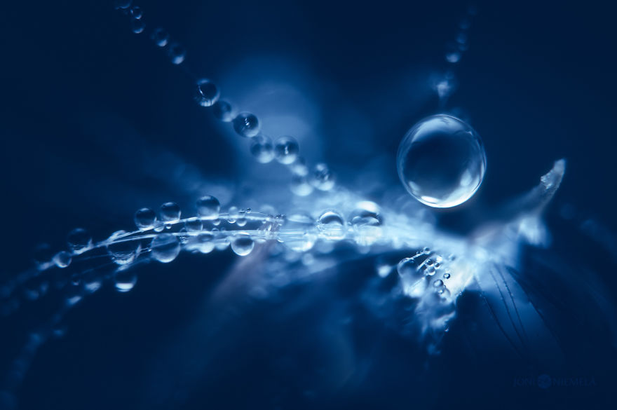 I Captured Rain Drops Creating Their Own Mini-Galaxies