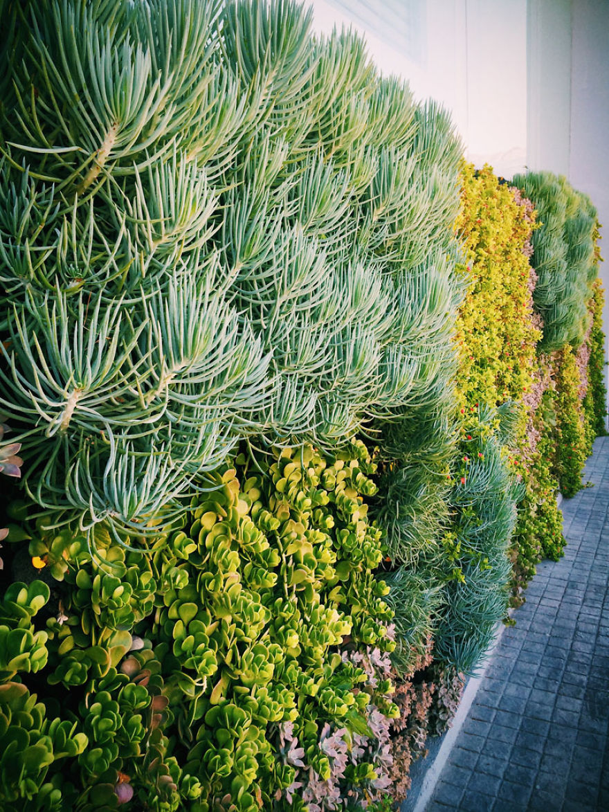 Unique Happy Face Shaped Diy Vertical Gardening System Makes Lush Gardens! Unique Happy Face Shaped Diy Vertical Gardening System Makes Lush Gardens!