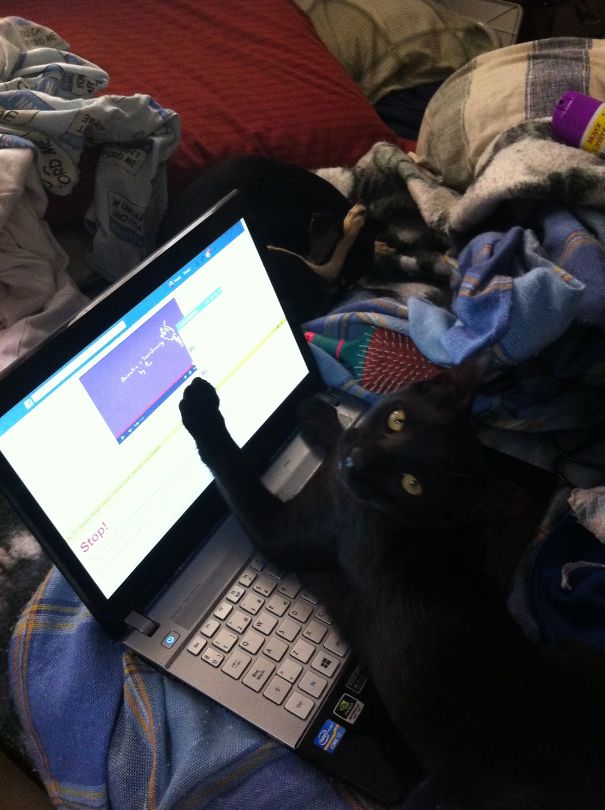 I Think Somebody Is Texting You...