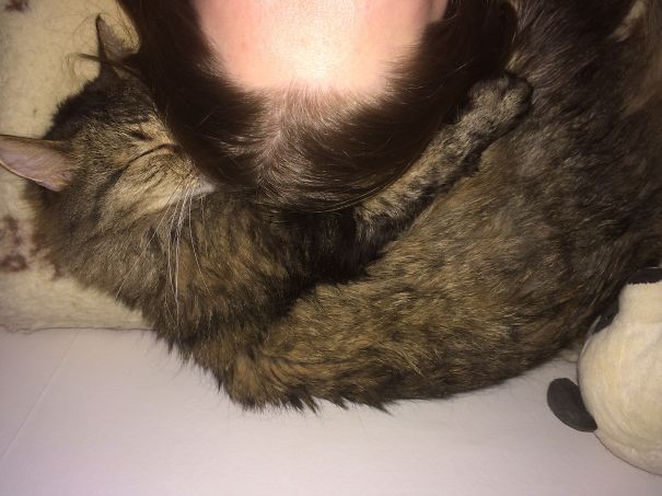 Cat Hat Taking A Nap