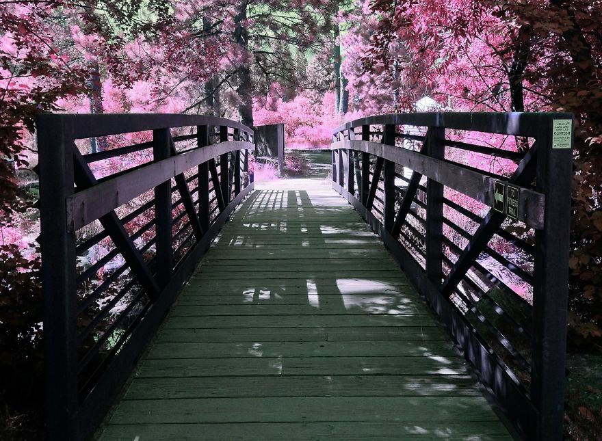 I Create A Surreal World Where Everything Is Pink