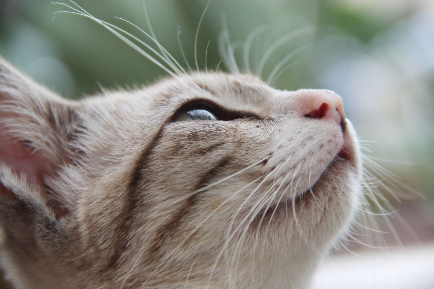 It's Taste Of Rain =)