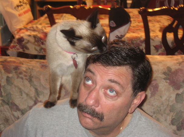 Mmmm, Clean Hair. Not Clean Enough, Let Me Help You!!