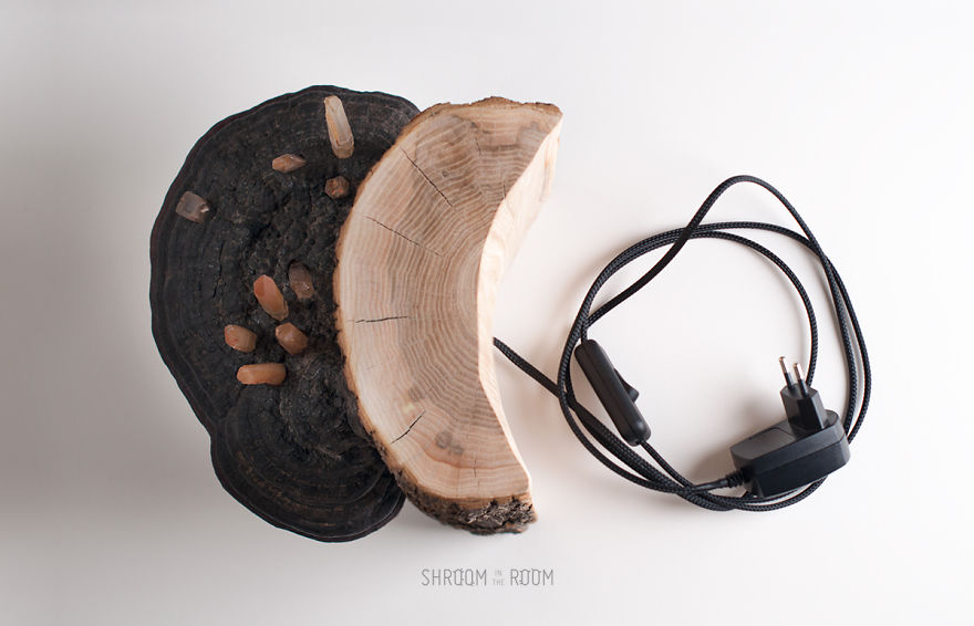 We Create Night Lamps Out Of Hand-Picked Crystals, Fallen Timber And Tree Mushrooms We Create Night Lamps Out Of Hand-Picked Crystals, Fallen Timber And Tree Mushrooms
