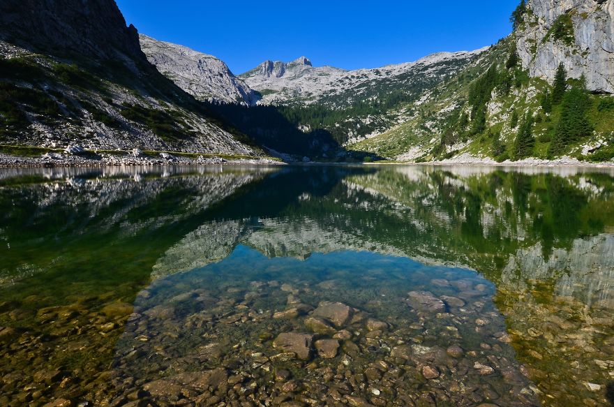 I Have Been Living In The Mountains For One Month I Have Been Living In The Mountains For One Month