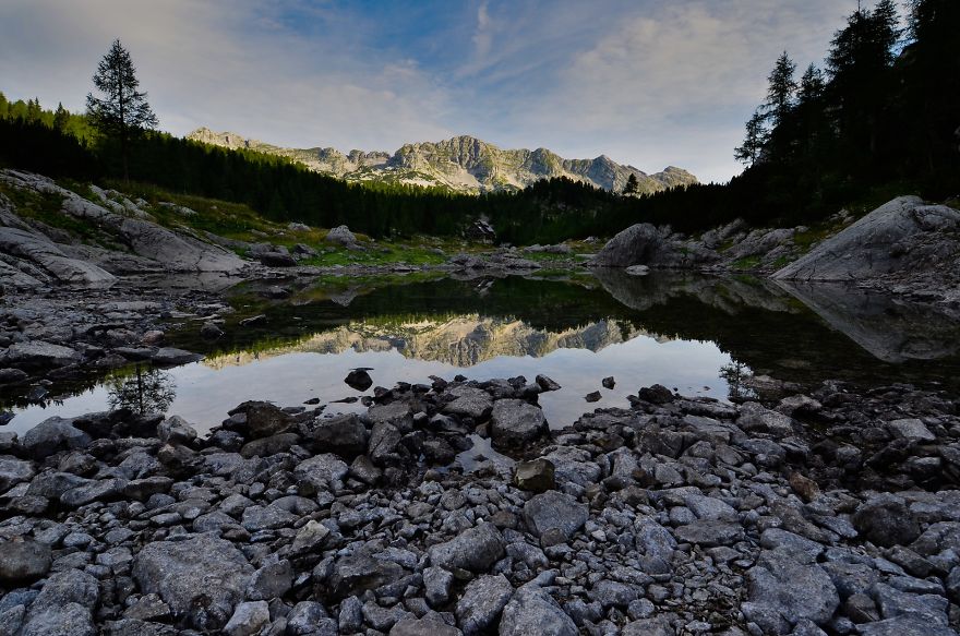 I Have Been Living In The Mountains For One Month I Have Been Living In The Mountains For One Month