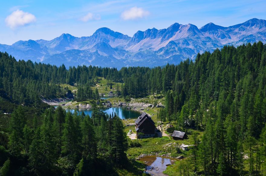 I Have Been Living In The Mountains For One Month I Have Been Living In The Mountains For One Month