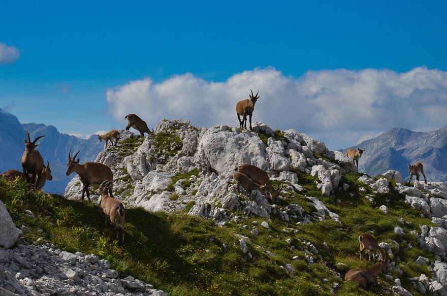 I Have Been Living In The Mountains For One Month I Have Been Living In The Mountains For One Month