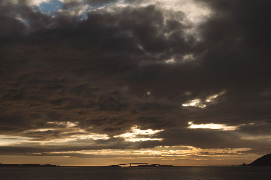 The Homecoming The Homecoming