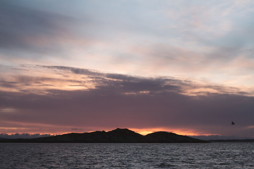 The Homecoming The Homecoming