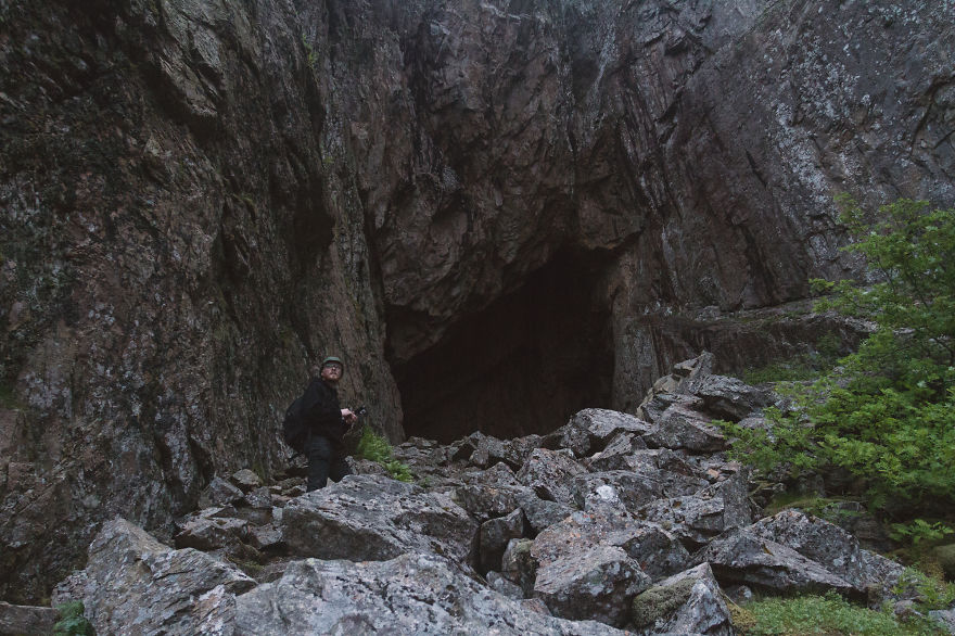 The Homecoming The Homecoming