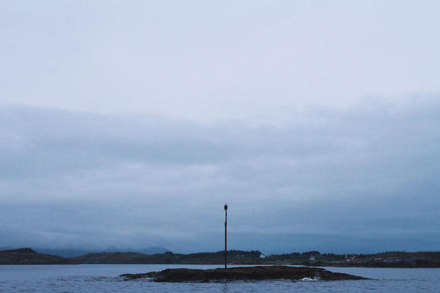 The Homecoming The Homecoming