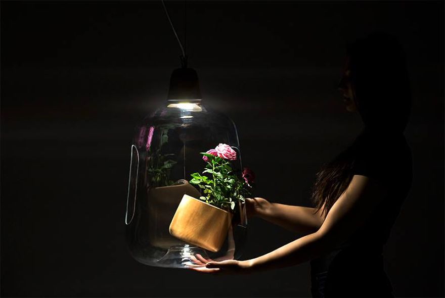Plant Lamps That Will Give Your Flowers The Sunshine They Miss During Winter Plant Lamps That Will Give Your Flowers The Sunshine They Miss During Winter