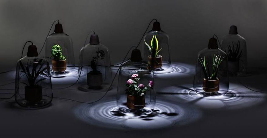 Plant Lamps That Will Give Your Flowers The Sunshine They Miss During Winter Plant Lamps That Will Give Your Flowers The Sunshine They Miss During Winter