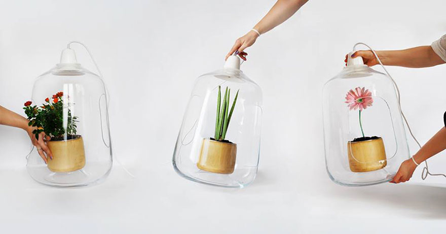 Plant Lamps That Will Give Your Flowers The Sunshine They Miss During Winter