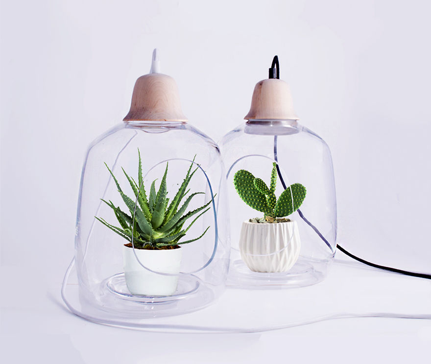 Plant Lamps That Will Give Your Flowers The Sunshine They Miss During Winter