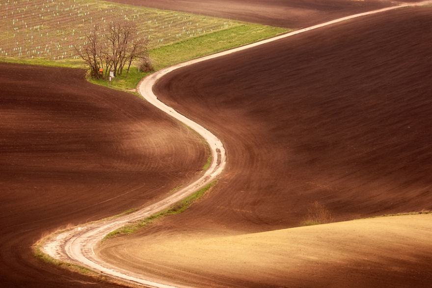 Hypnotizing Beauty Of Moravian Fields In The Czech Republic Hypnotizing Beauty Of Moravian Fields In The Czech Republic