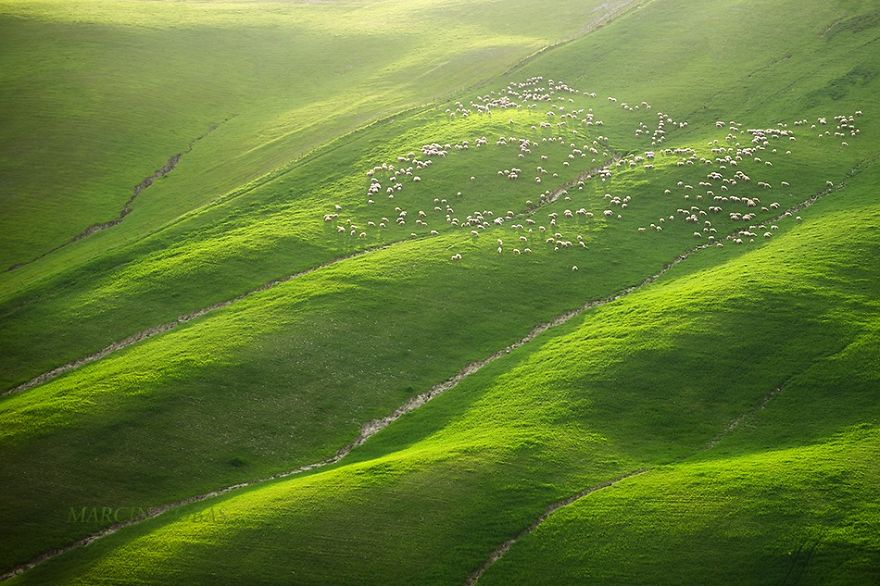 Hypnotizing Beauty Of Moravian Fields In The Czech Republic Hypnotizing Beauty Of Moravian Fields In The Czech Republic