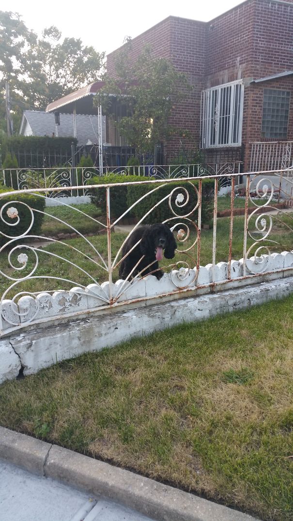 Because He Thinks Hes Coming To Work With Me