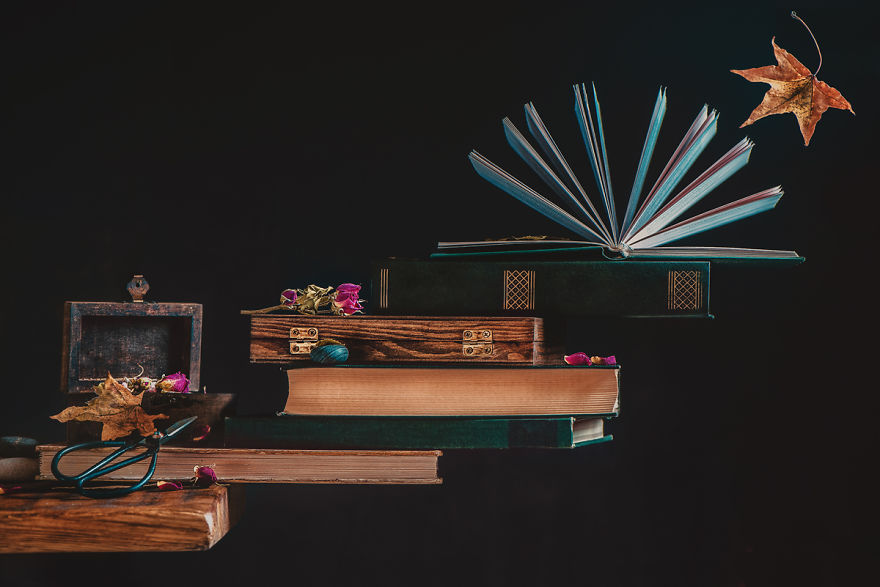 I Illustrate Moments Of Autumn And Rain With Still-Life Photography