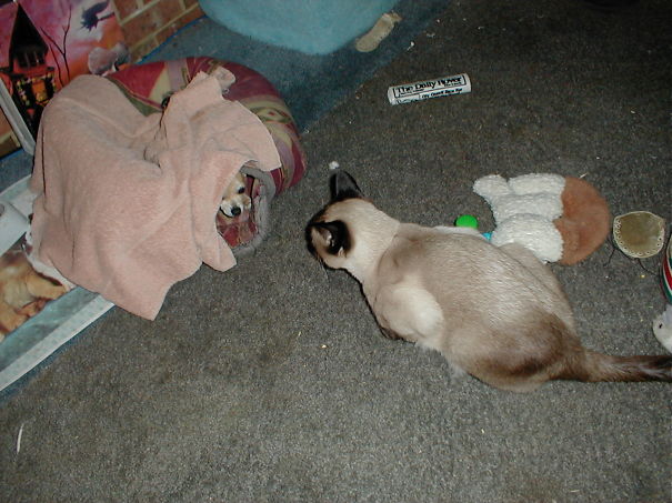 I Want In... Get Out!!!