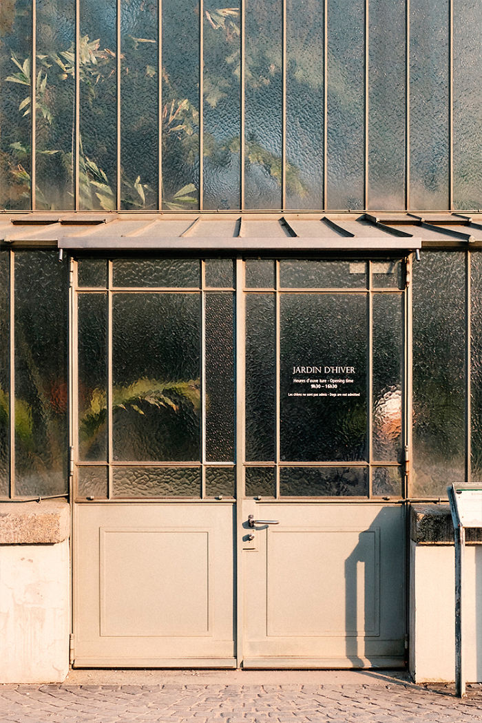 Plants Or Paintings?