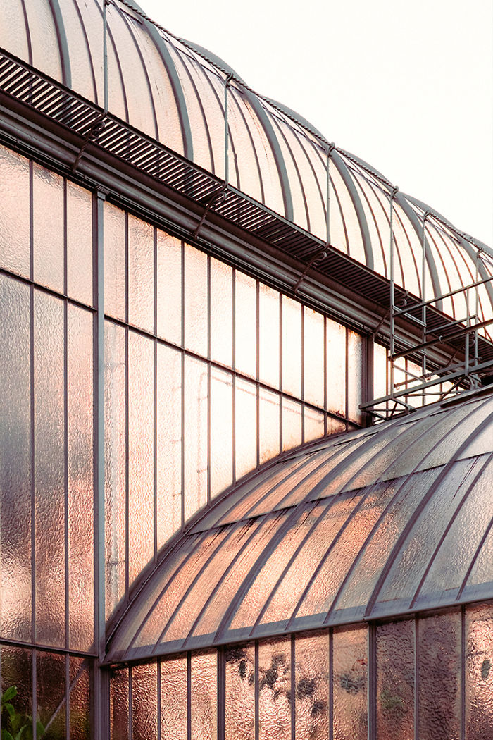 Plants Or Paintings?