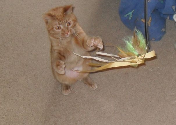 "take Me To Your Leader"