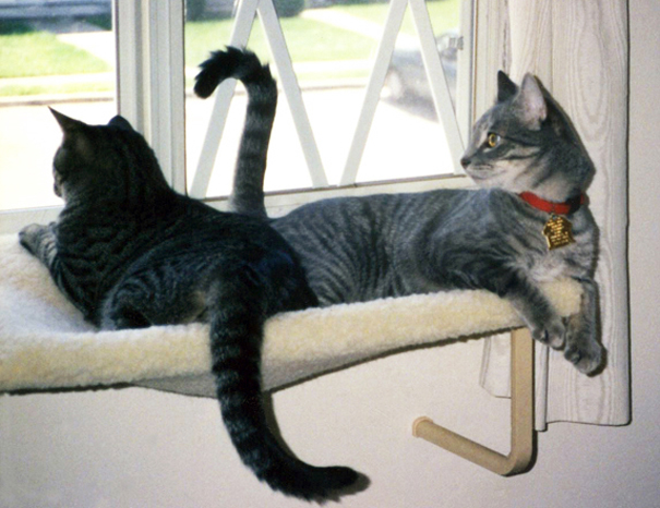 Sophie & Tyler Enjoying The Window Seat