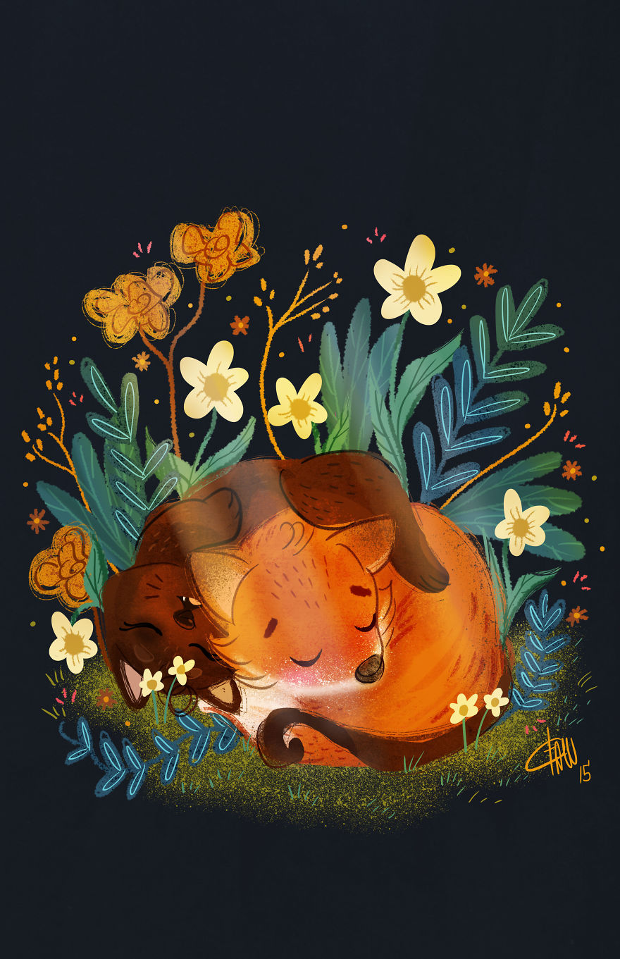 The Adventures Of Mr. Fox &amp; Kitty Cat