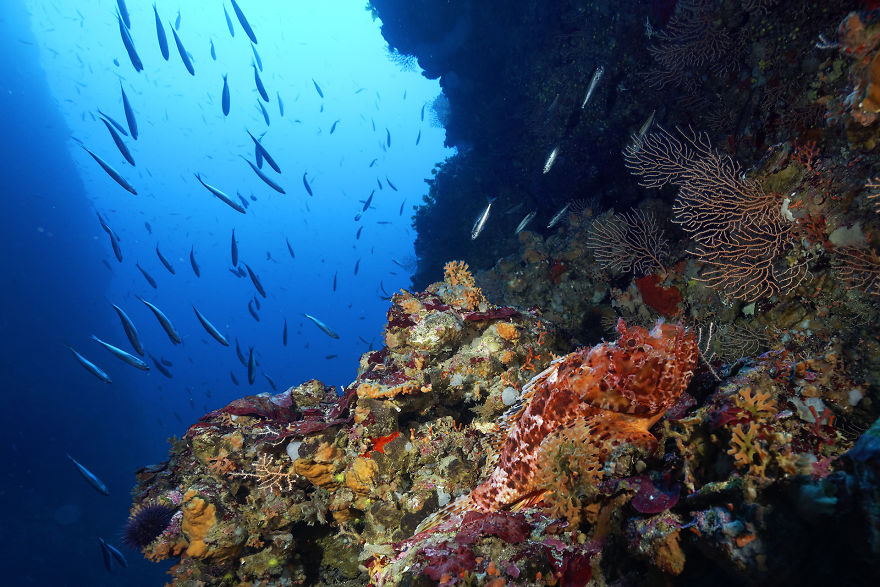 Going To Holidays In Croatia? Discover The Incredible Nature!