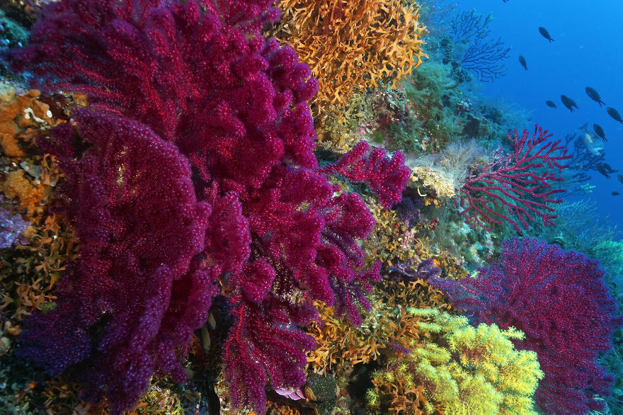 Going To Holidays In Croatia? Discover The Incredible Nature!