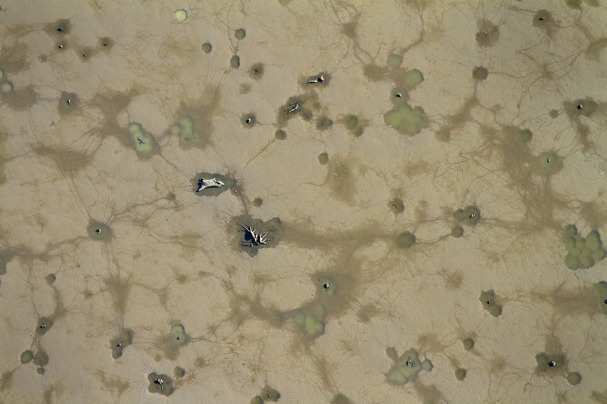 Going To Holidays In Croatia? Discover The Incredible Nature!