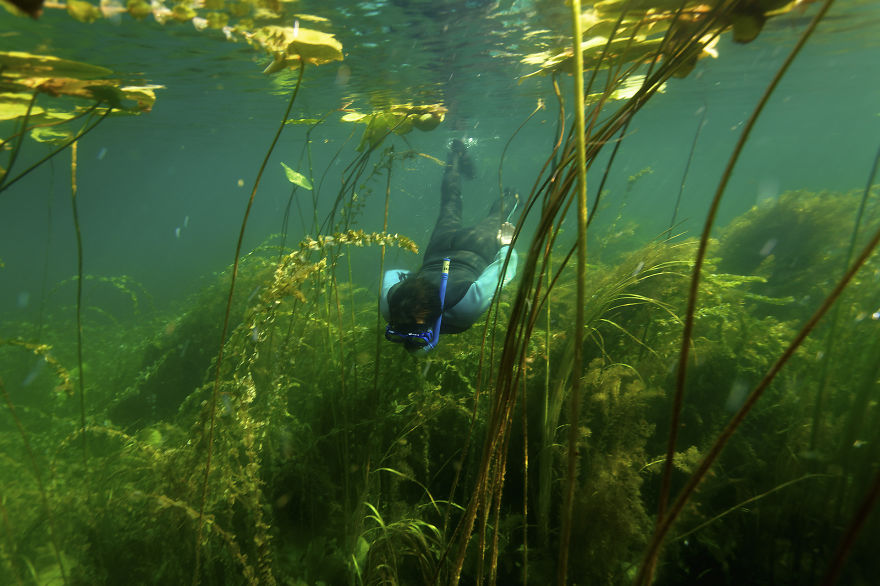 Going To Holidays In Croatia? Discover The Incredible Nature!