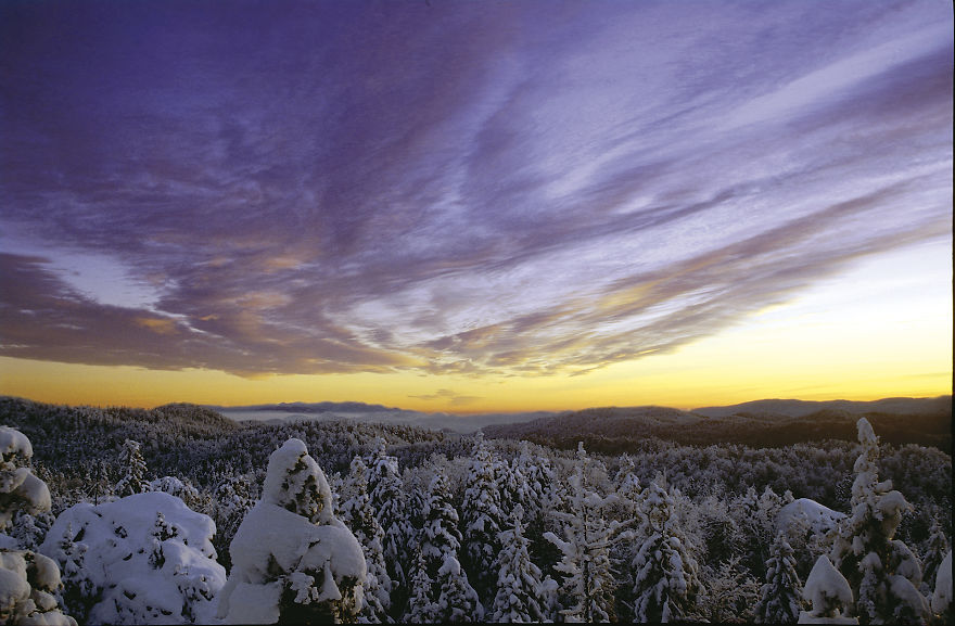 Going To Holidays In Croatia? Discover The Incredible Nature! Going To Holidays In Croatia? Discover The Incredible Nature!