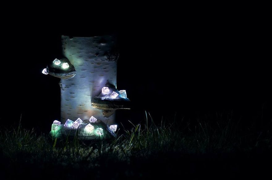 We Create Night Lamps Out Of Hand-Picked Crystals, Fallen Timber And Tree Mushrooms We Create Night Lamps Out Of Hand-Picked Crystals, Fallen Timber And Tree Mushrooms
