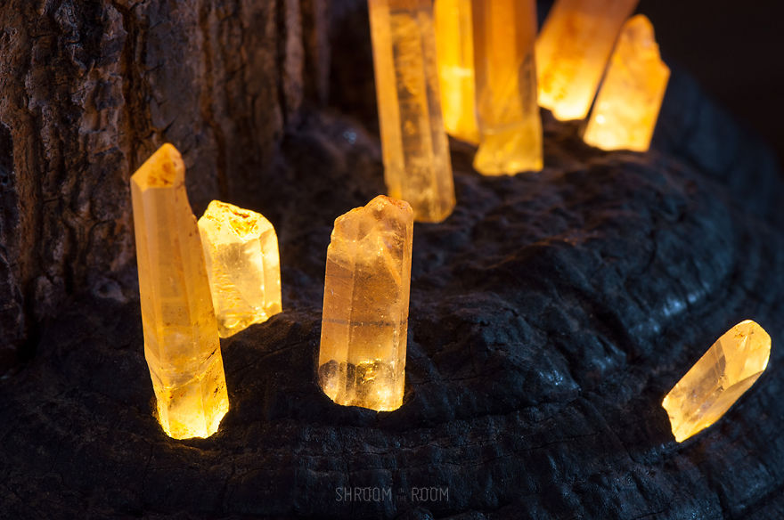 We Create Night Lamps Out Of Hand-Picked Crystals, Fallen Timber And Tree Mushrooms We Create Night Lamps Out Of Hand-Picked Crystals, Fallen Timber And Tree Mushrooms