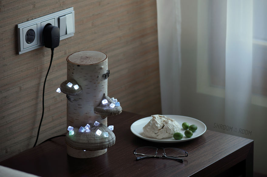We Create Night Lamps Out Of Hand-Picked Crystals, Fallen Timber And Tree Mushrooms We Create Night Lamps Out Of Hand-Picked Crystals, Fallen Timber And Tree Mushrooms