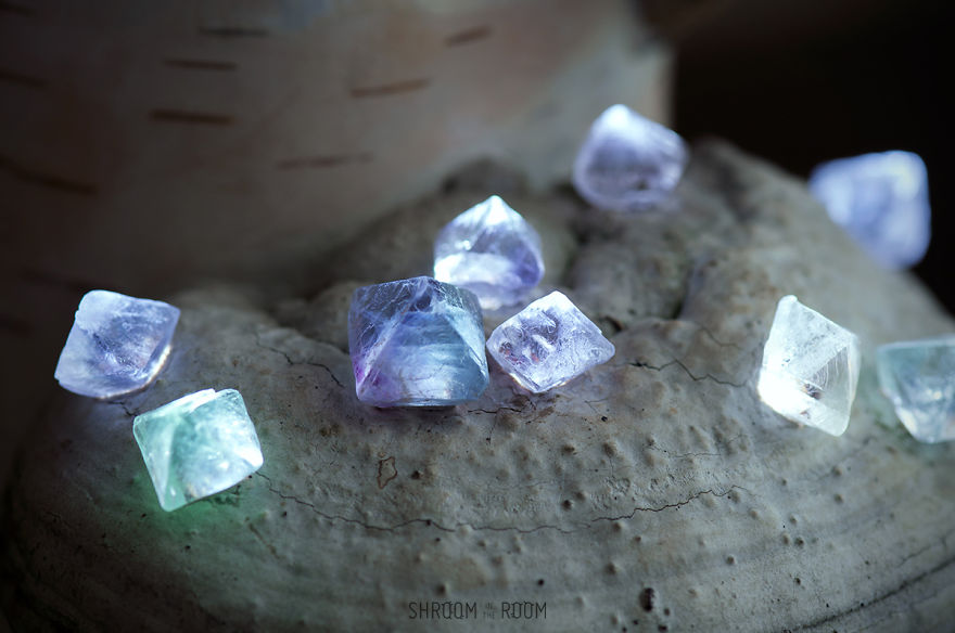 We Create Night Lamps Out Of Hand-Picked Crystals, Fallen Timber And Tree Mushrooms